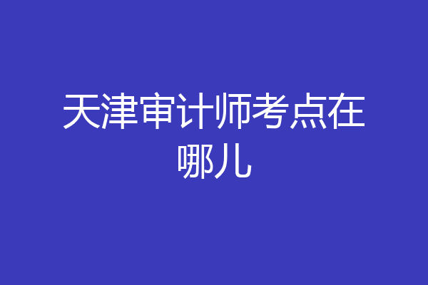 天津审计师考点在哪儿
