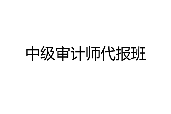 中级审计师代报班
