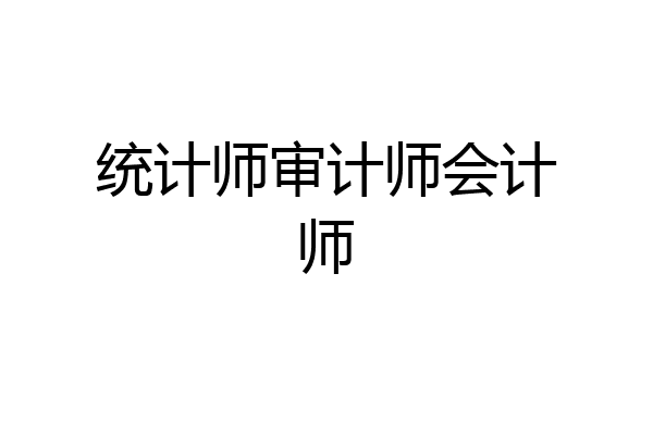 统计师审计师会计师