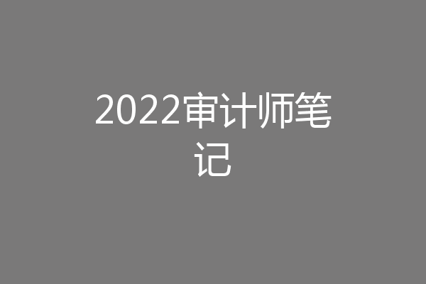 2022审计师笔记