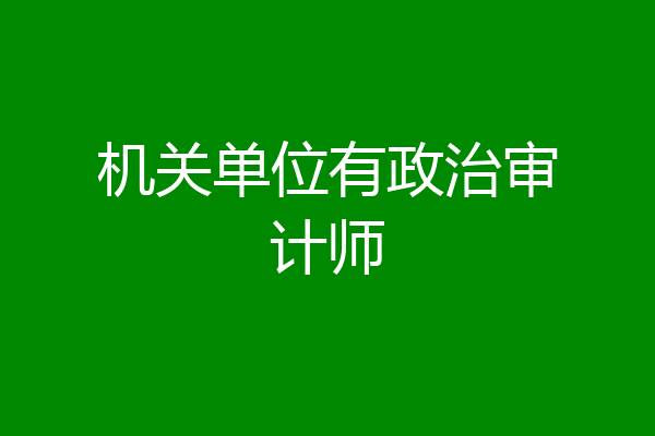 机关单位有政治审计师