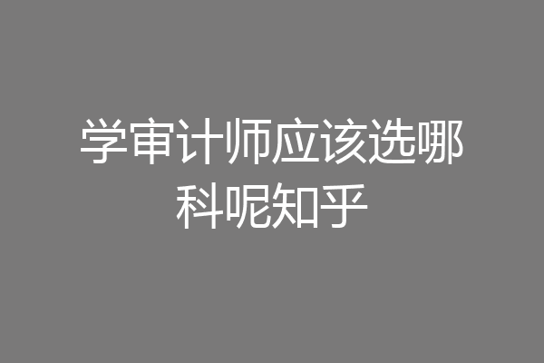 学审计师应该选哪科呢知乎