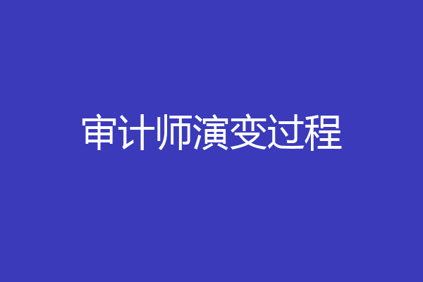 审计师演变过程