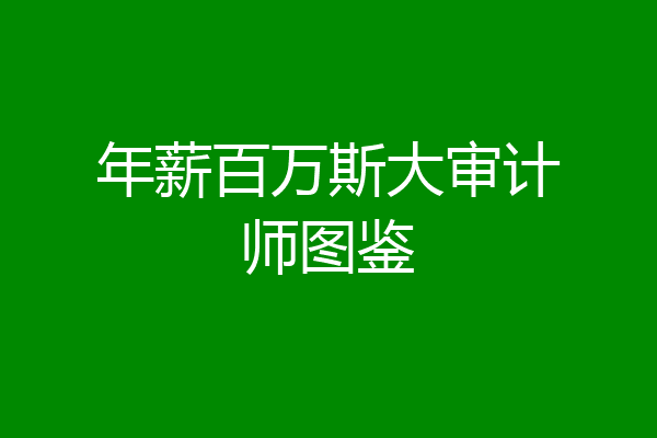 年薪百万斯大审计师图鉴