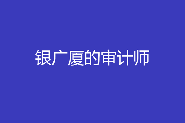 银广厦的审计师