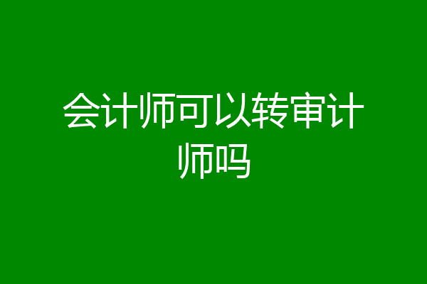 会计师可以转审计师吗