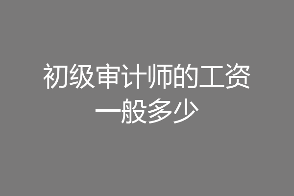 初级审计师的工资一般多少