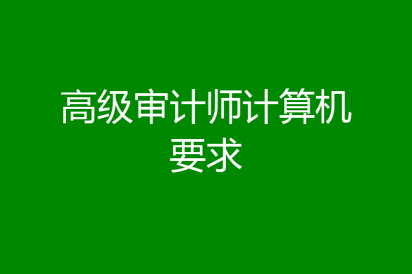 高级审计师计算机要求