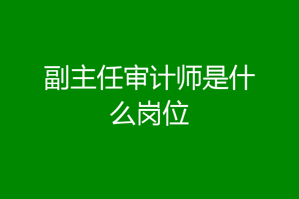 副主任审计师是什么岗位