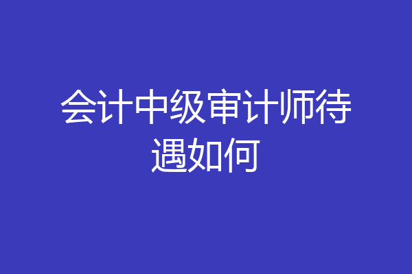 会计中级审计师待遇如何