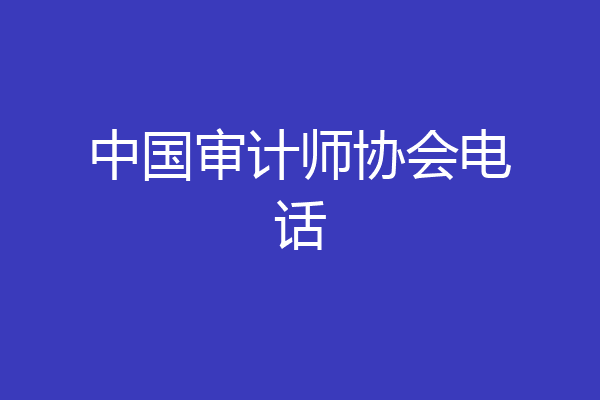 中国审计师协会电话