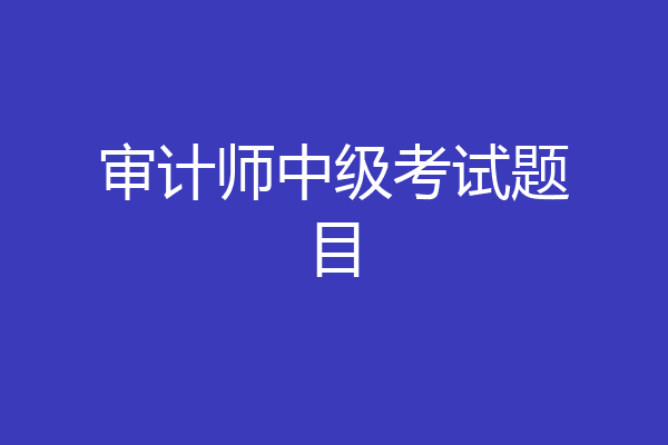 审计师中级考试题目
