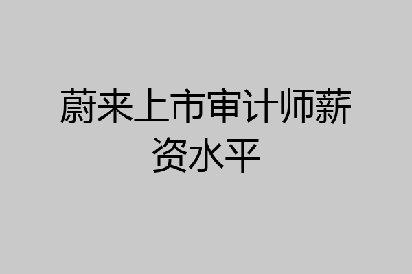 蔚来上市审计师薪资水平