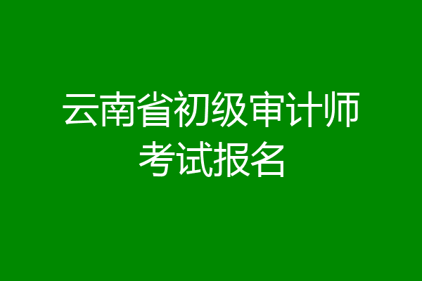 云南省初级审计师考试报名