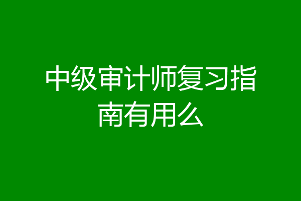 中级审计师复习指南有用么