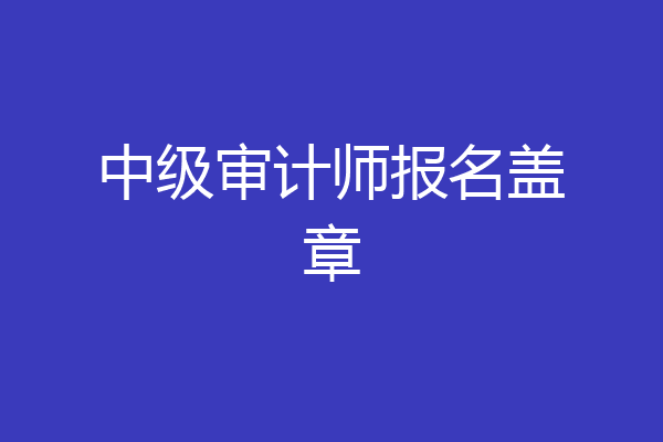 中级审计师报名盖章