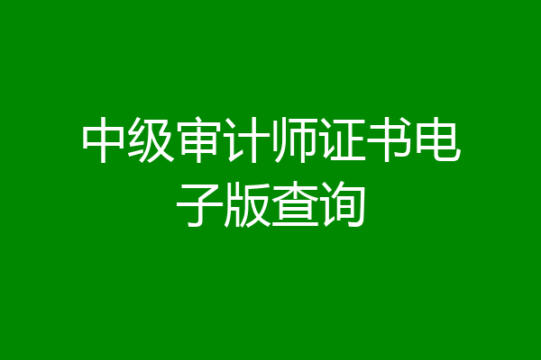 中级审计师证书电子版查询