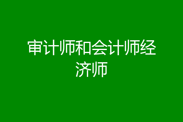 审计师和会计师经济师