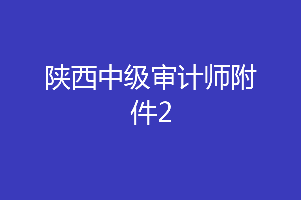 陕西中级审计师附件2