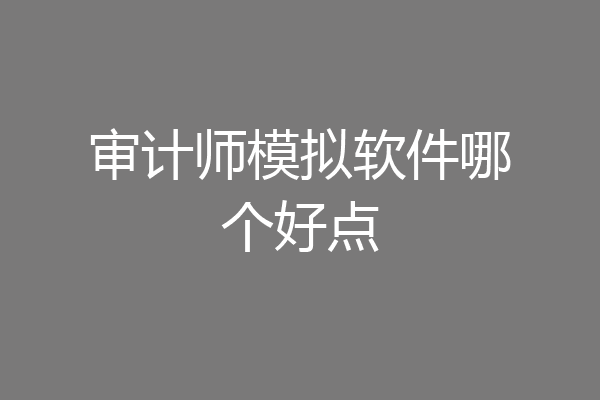 审计师模拟软件哪个好点