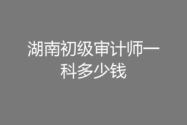 湖南初级审计师一科多少钱