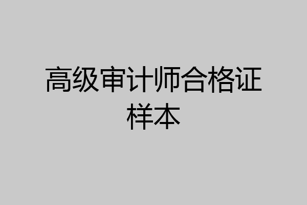 高级审计师合格证样本