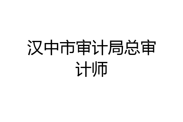 汉中市审计局总审计师