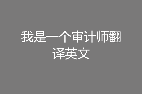 我是一个审计师翻译英文