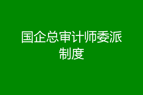 国企总审计师委派制度