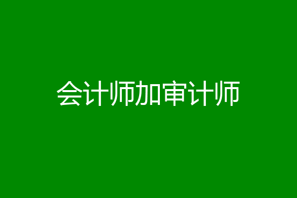 会计师加审计师
