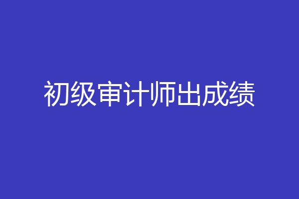 初级审计师出成绩