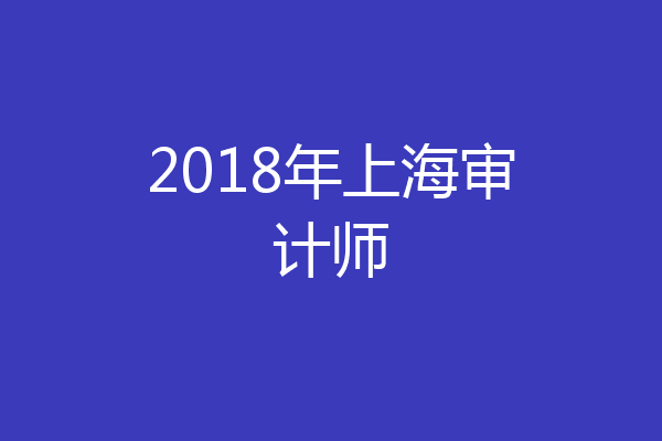 2018年上海审计师