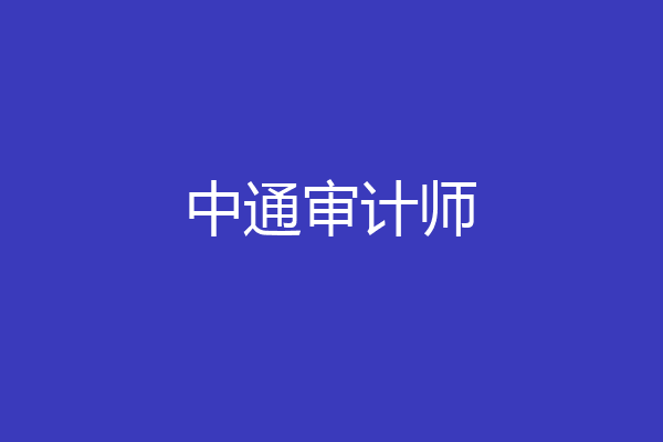 中通审计师