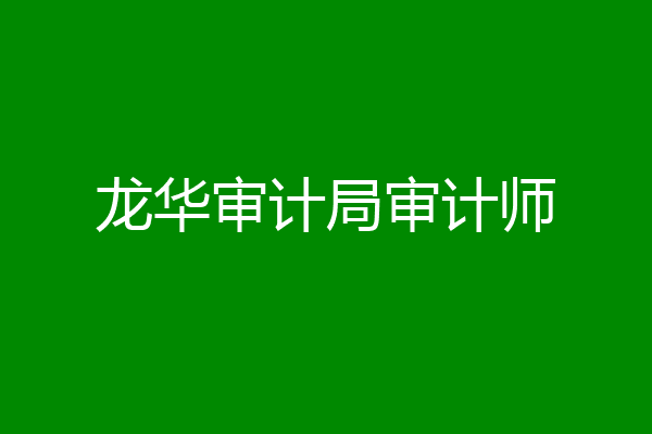 龙华审计局审计师