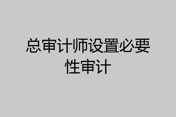 总审计师设置必要性审计