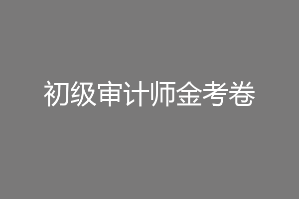 初级审计师金考卷