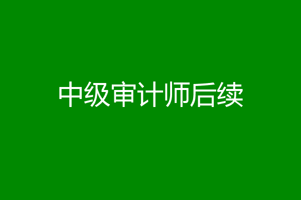 中级审计师后续