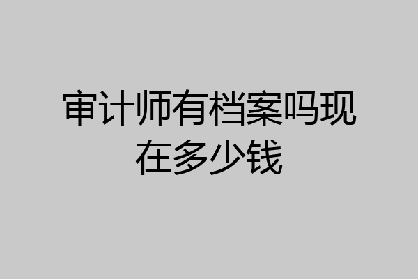 审计师有档案吗现在多少钱
