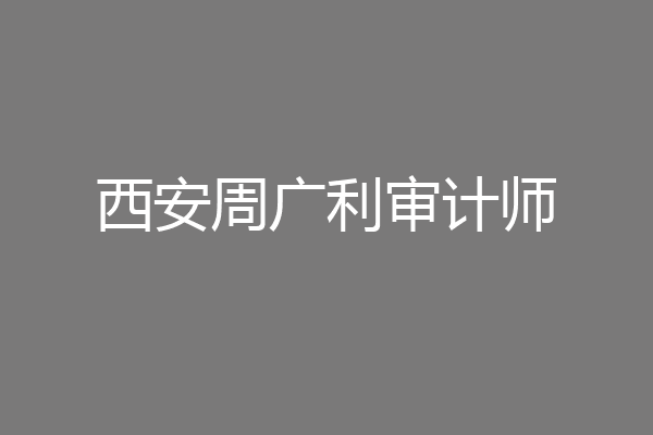 西安周广利审计师