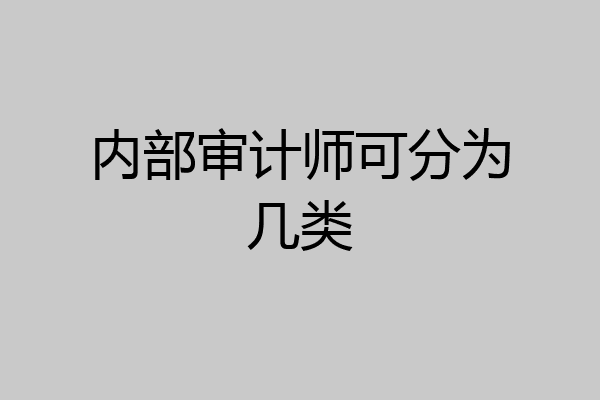 内部审计师可分为几类