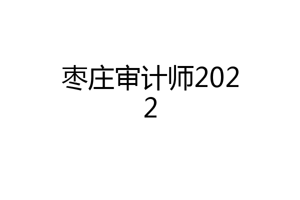 枣庄审计师2022