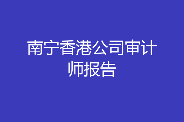 南宁香港公司审计师报告