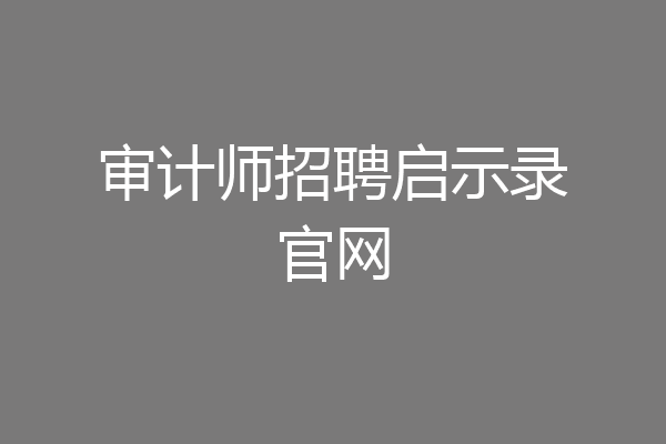 审计师招聘启示录官网
