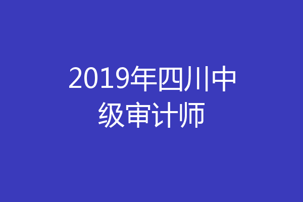 2019年四川中级审计师