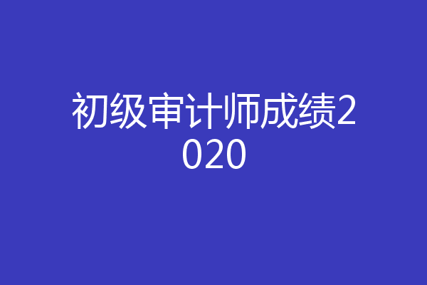 初级审计师成绩2020
