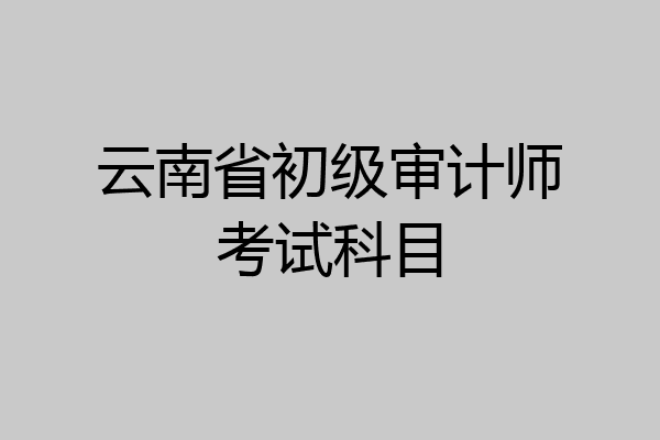 云南省初级审计师考试科目