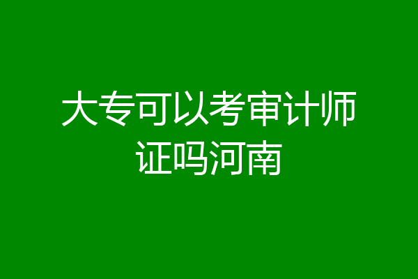大专可以考审计师证吗河南