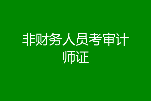非财务人员考审计师证