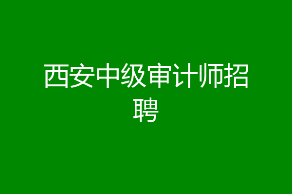 西安中级审计师招聘