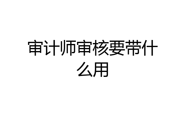审计师审核要带什么用